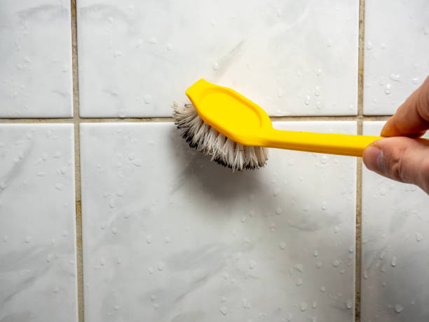 Best Black Mold Removal  in Kalispell, MT