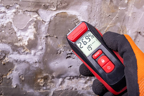 Best Mold Testing  in Kalispell, MT